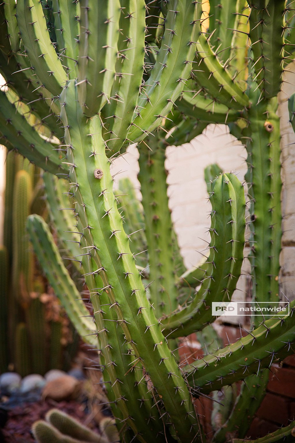 52 Upper Street TAMWORTH 18