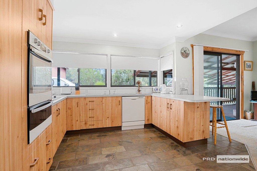520 Green Pigeon Road GREEN PIGEON 14