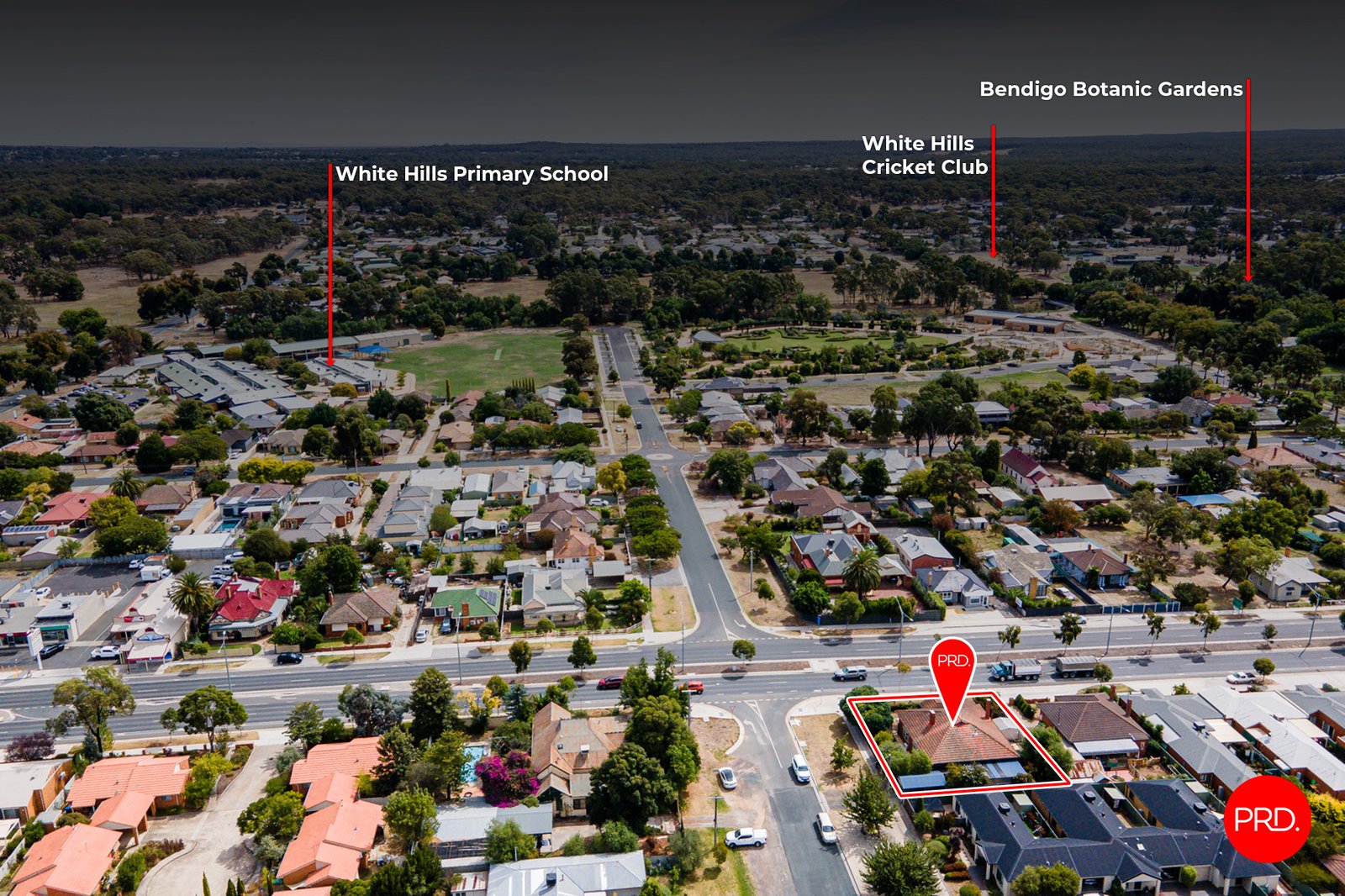 520 Napier Street WHITE HILLS 19