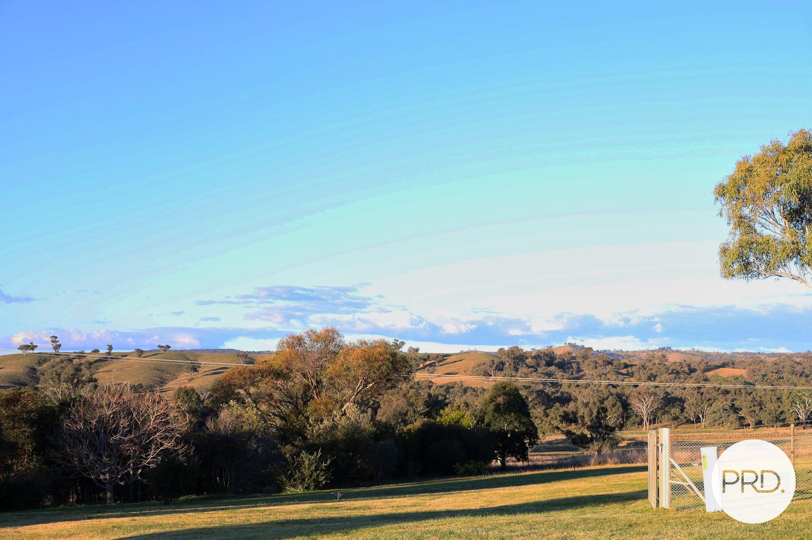 520 Quirk's Loop STUART TOWN 11