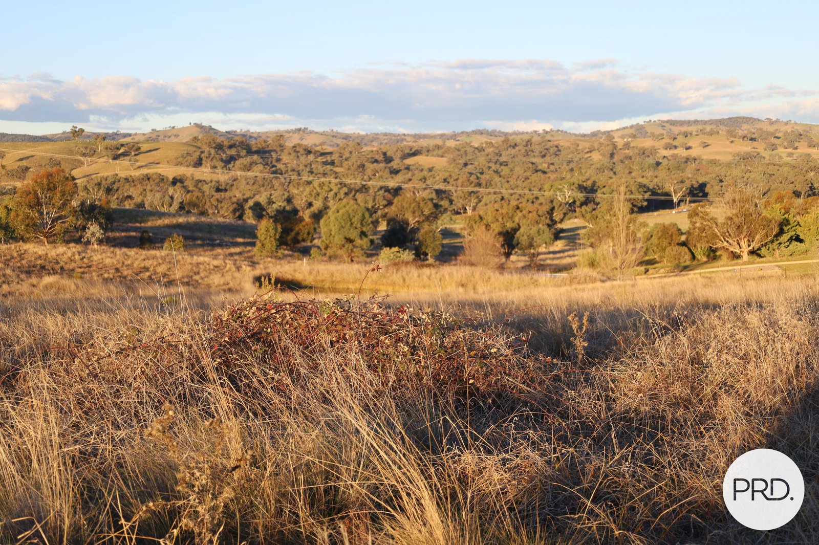 520 Quirk's Loop STUART TOWN 13