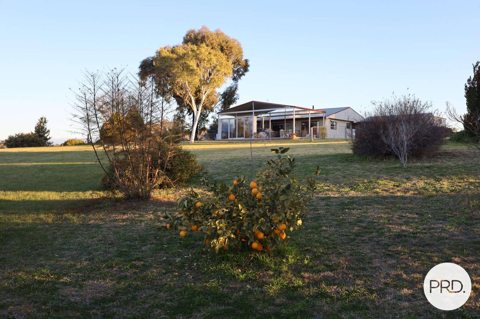 520 Quirk's Loop STUART TOWN 17