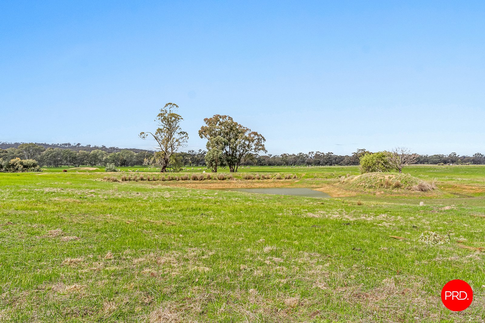 521 Bradford Road SHELBOURNE 20