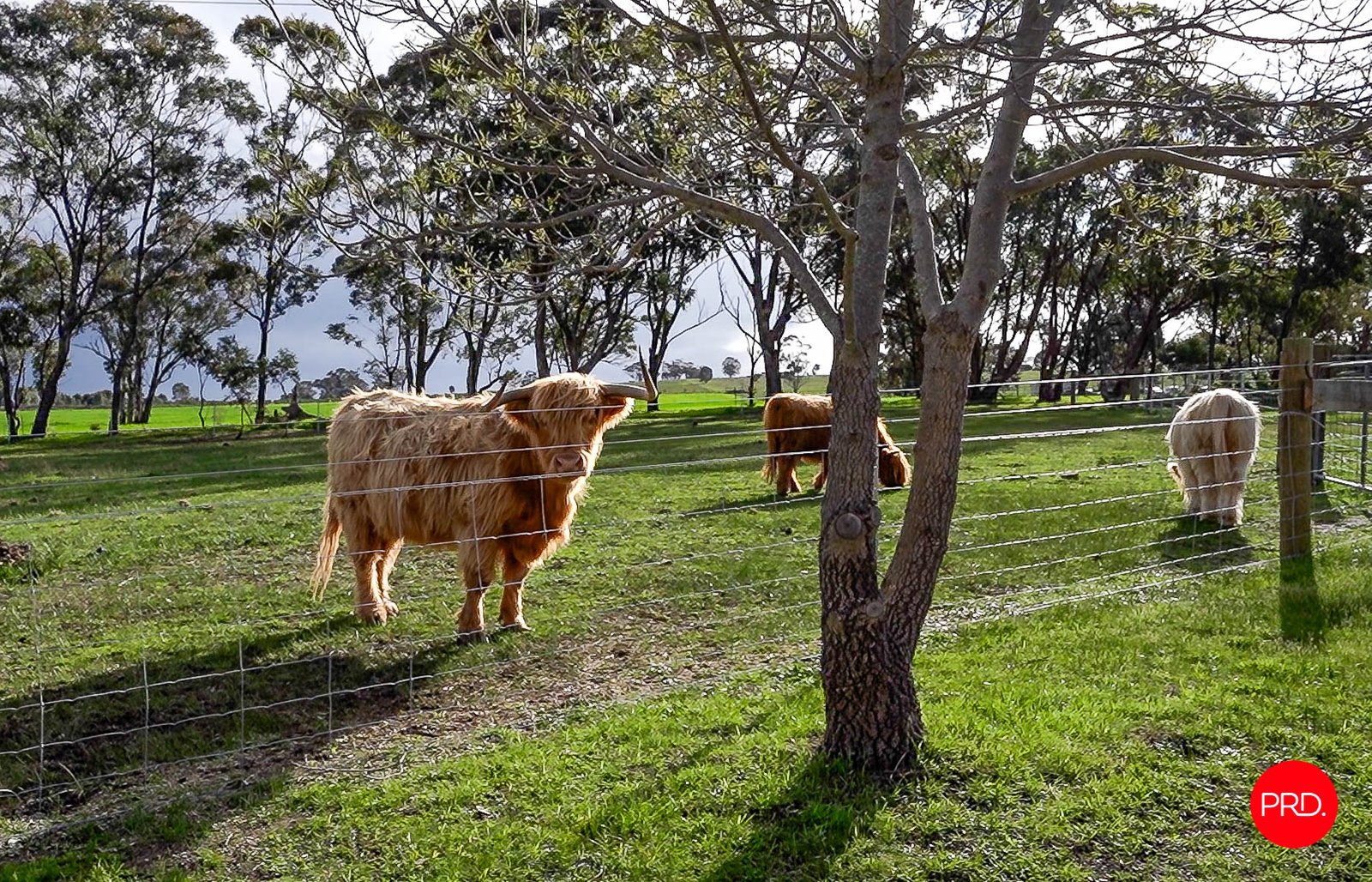 521 Bradford Road SHELBOURNE 28