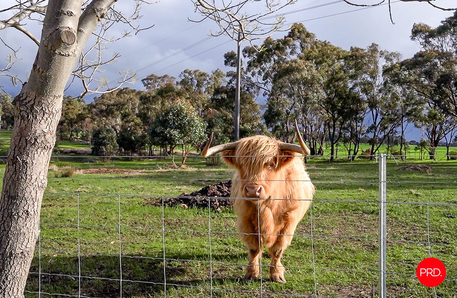 521 Bradford Road SHELBOURNE 29