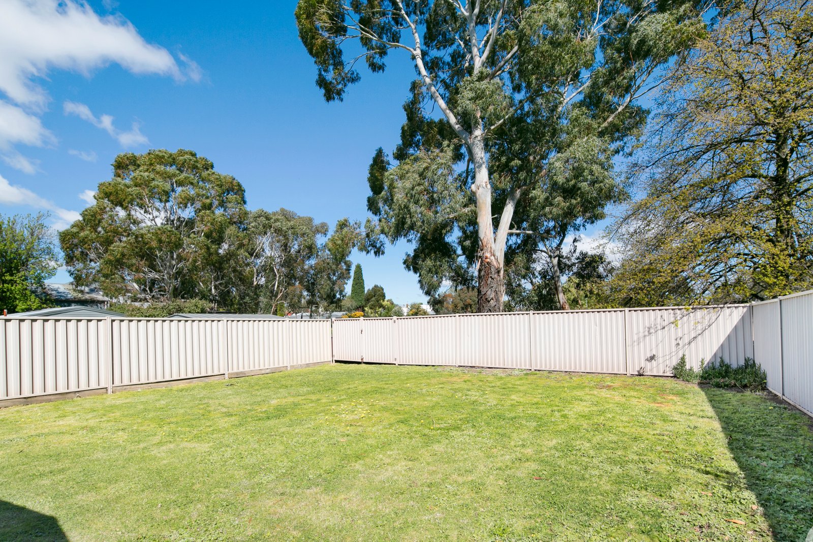 521 Howitt Street SOLDIERS HILL 13