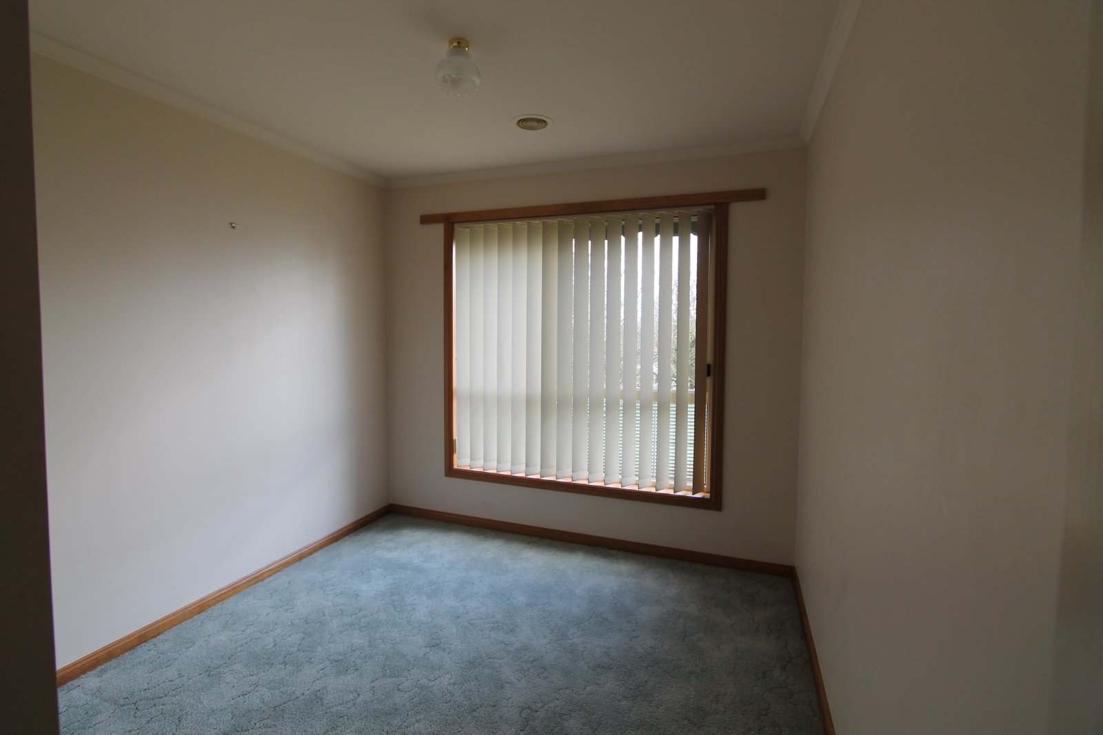 521 Sherrard Street BLACK HILL 7