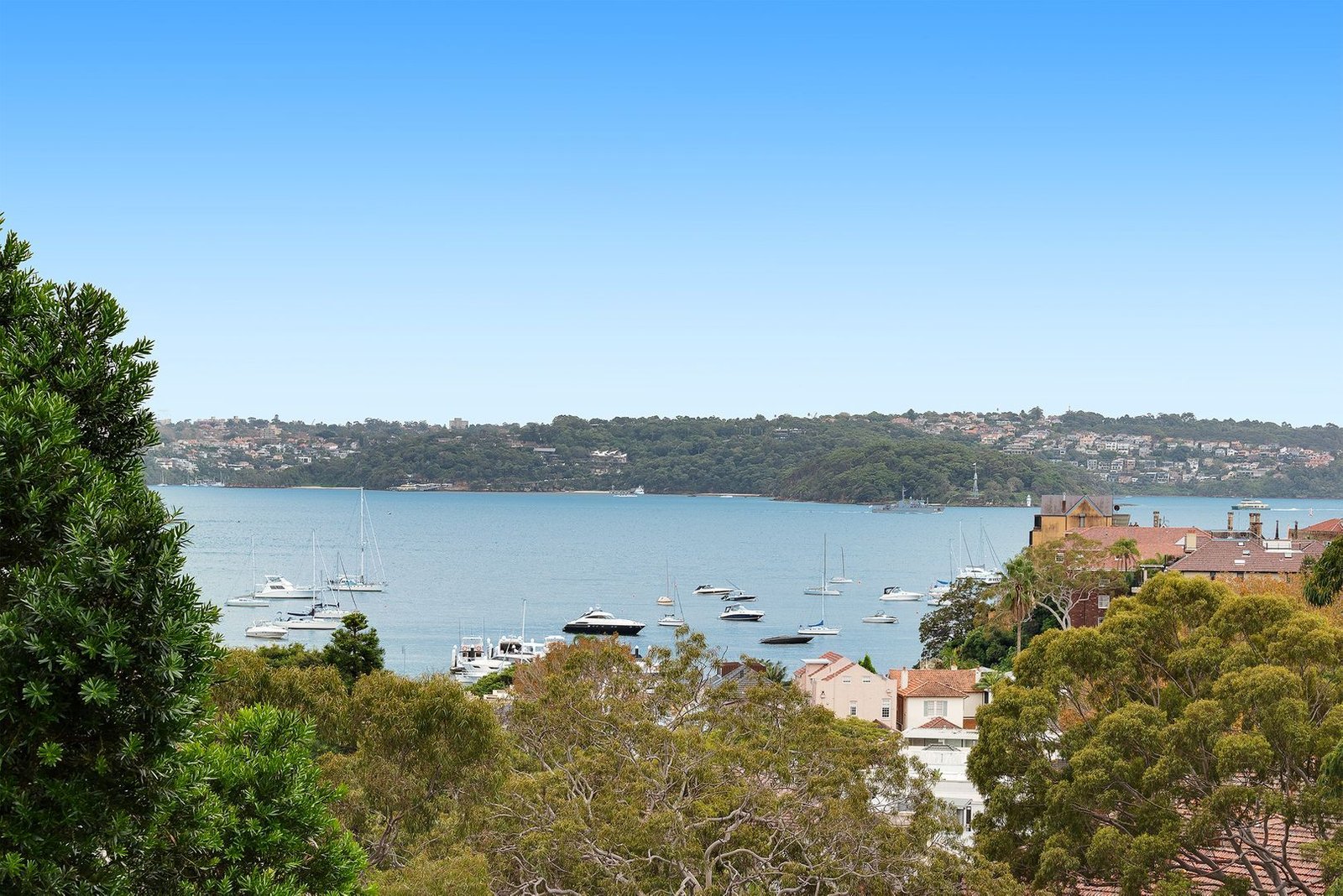 52/177 Bellevue Road BELLEVUE HILL 5