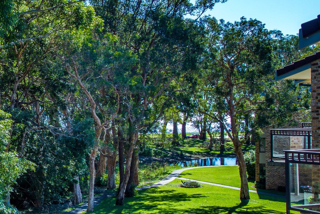 52/2 Gowrie Avenue NELSON BAY 3