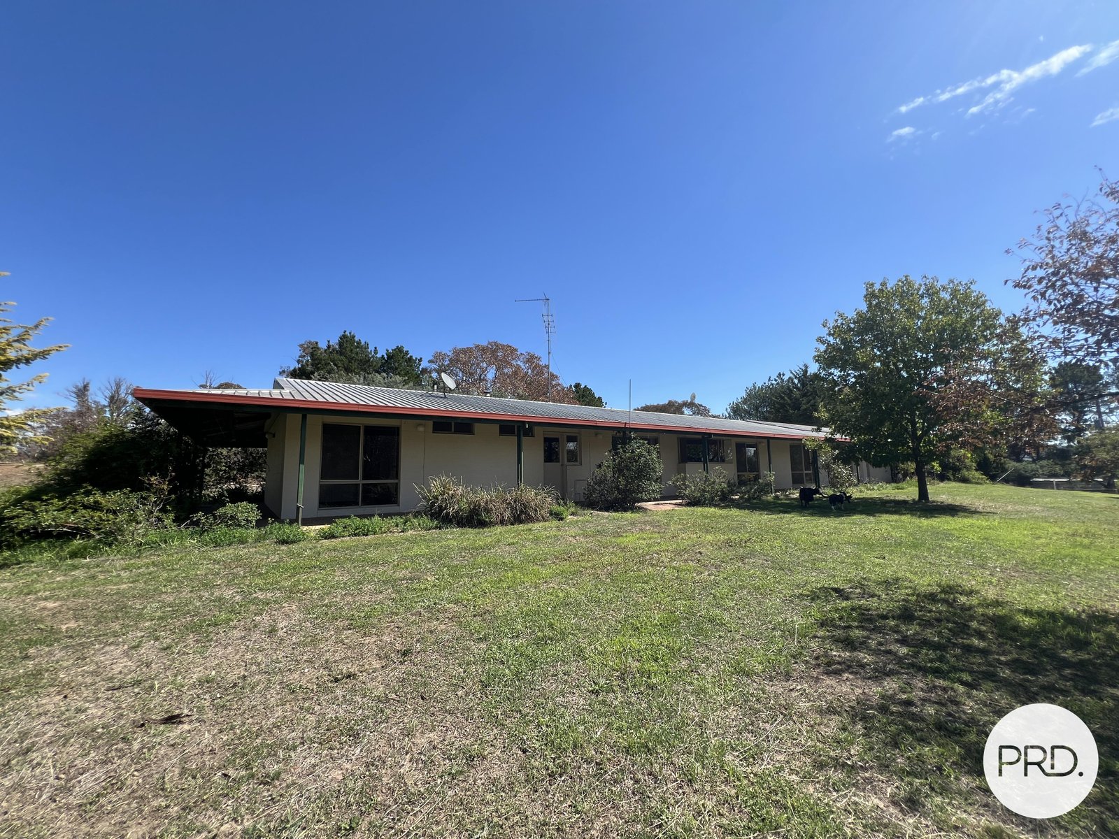 523 Nanima Road SPRINGRANGE 1