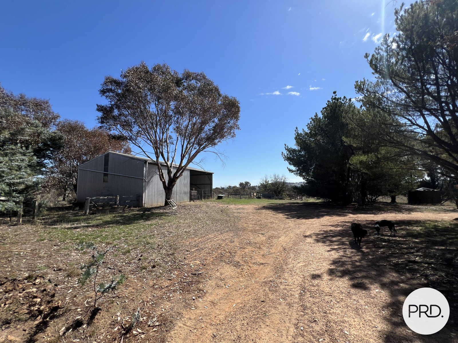 523 Nanima Road SPRINGRANGE 26