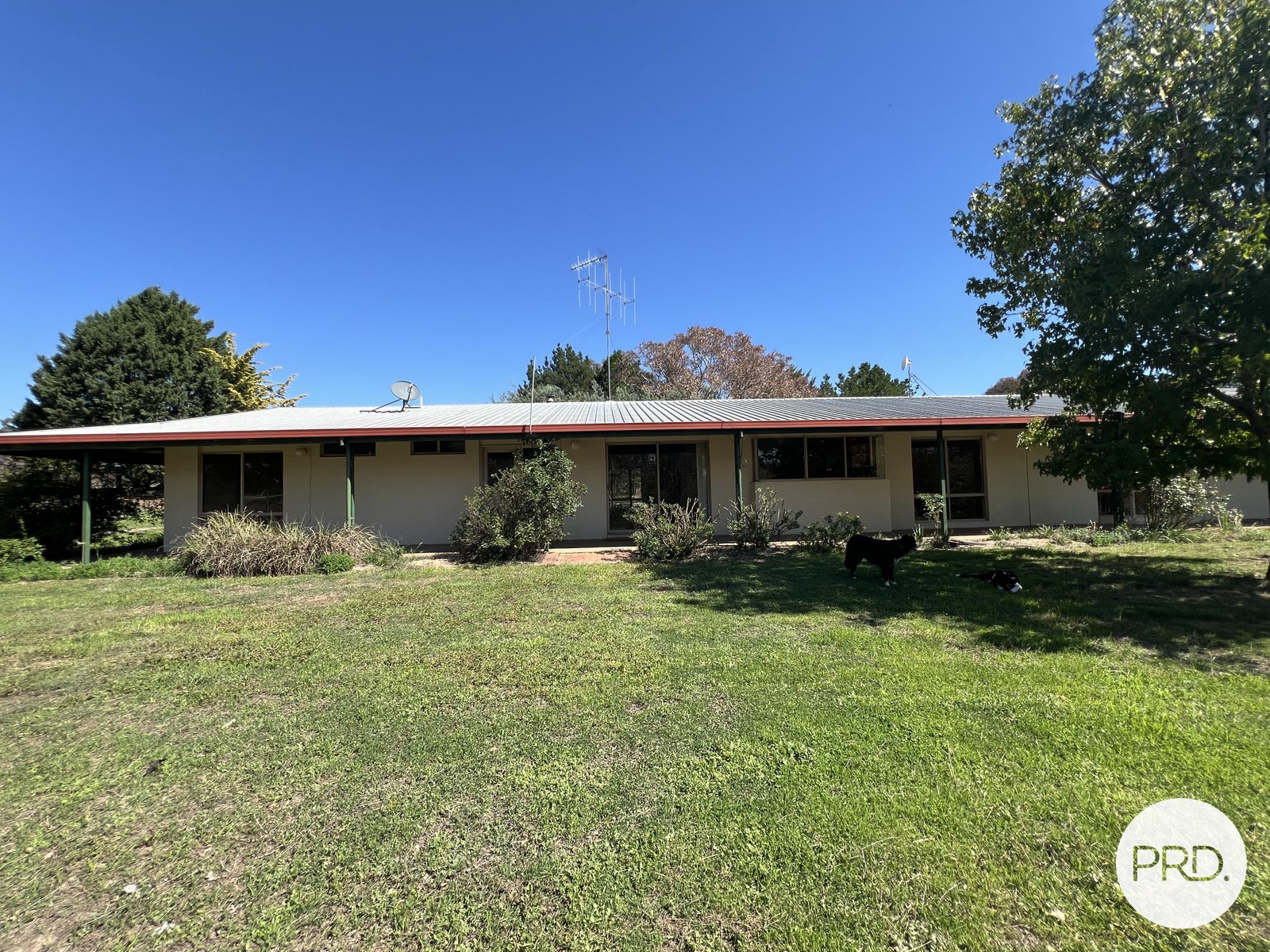 523 Nanima Road SPRINGRANGE 28