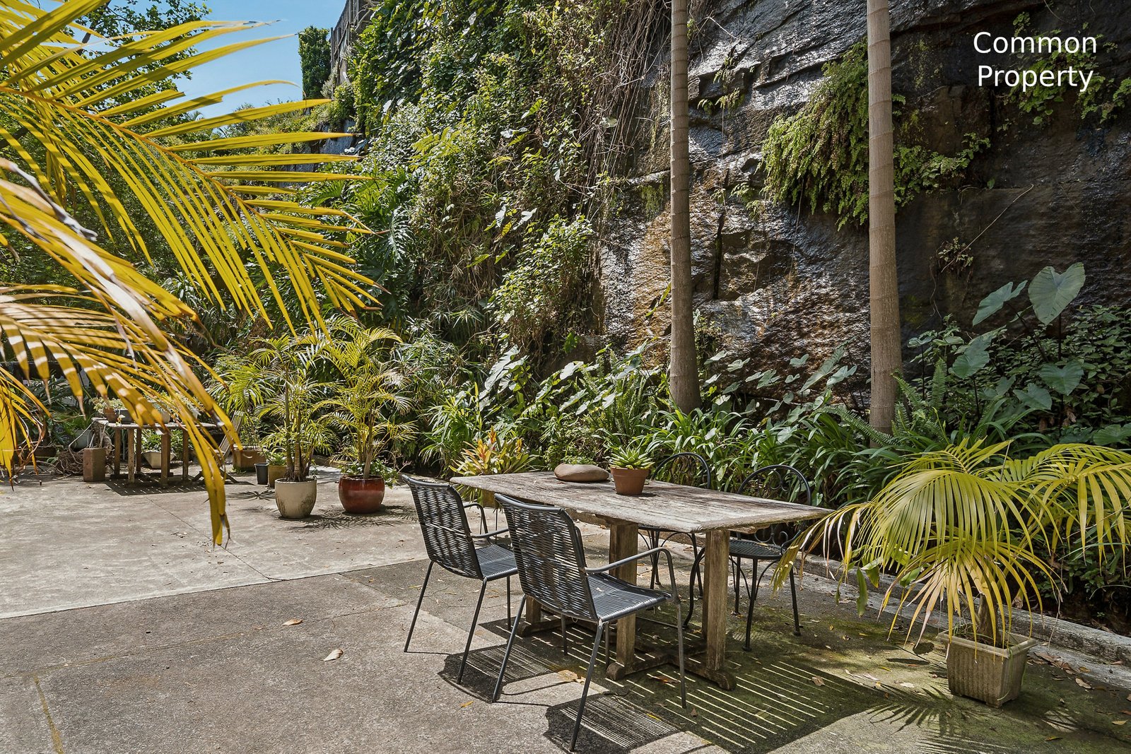 5/24 Streatfield Road BELLEVUE HILL 9