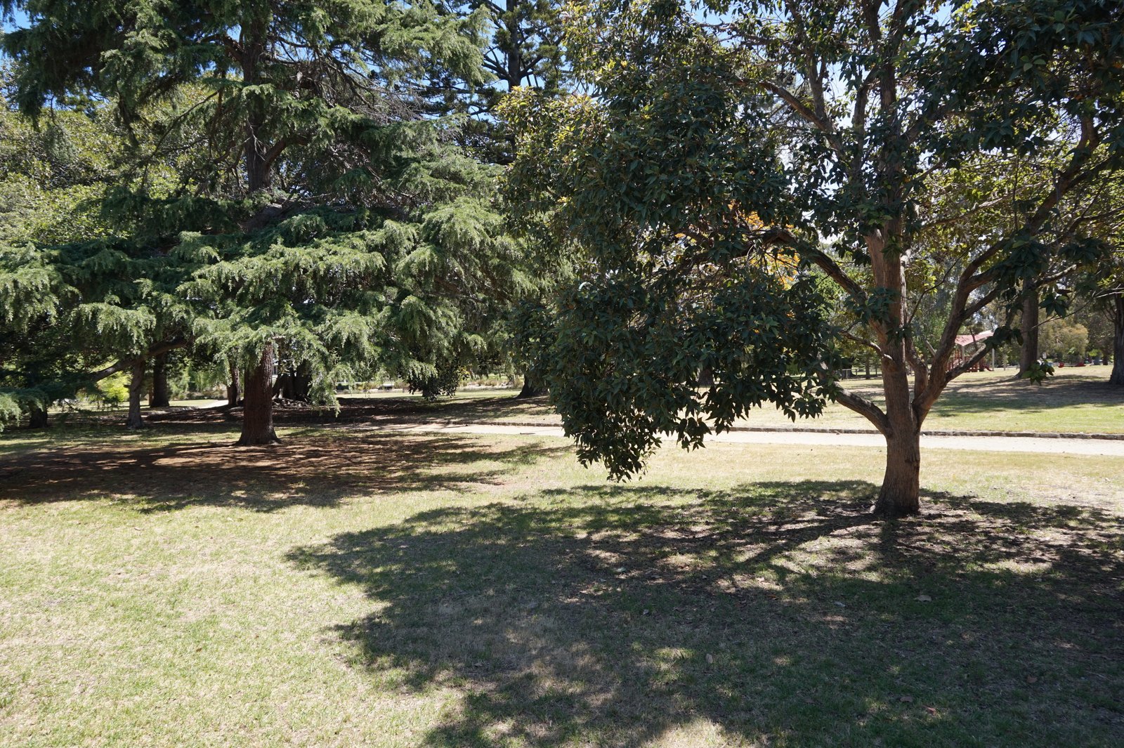 Gallery: 5/25 Landcox Street