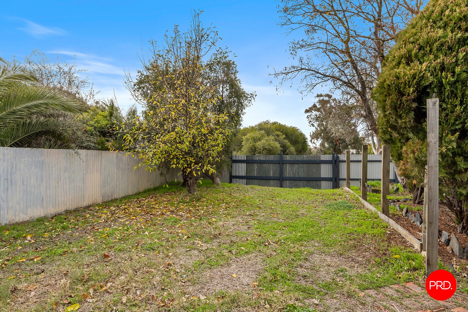 525 Napier Street WHITE HILLS 14