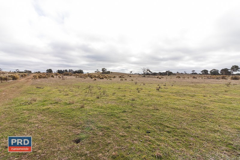 525 Shingle Hill Way GUNDAROO 4