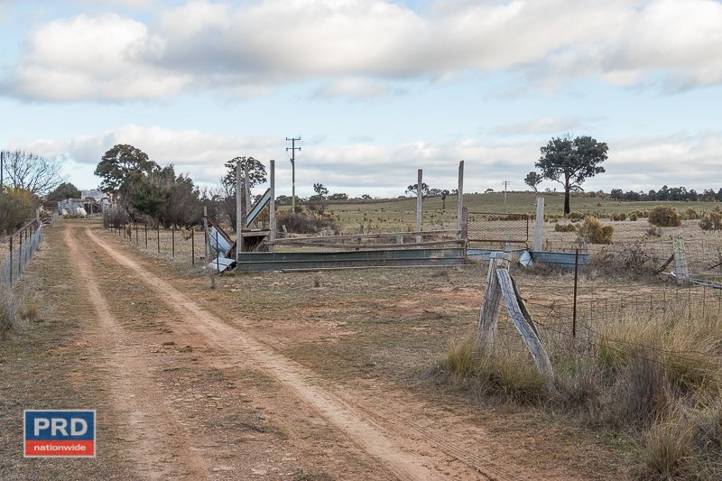 525 Shingle Hill Way GUNDAROO 13