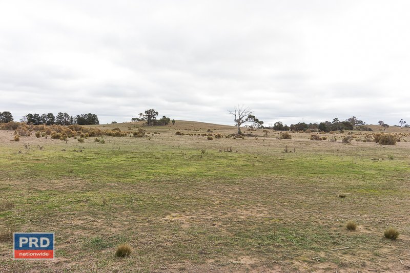 525 Shingle Hill Way GUNDAROO 15