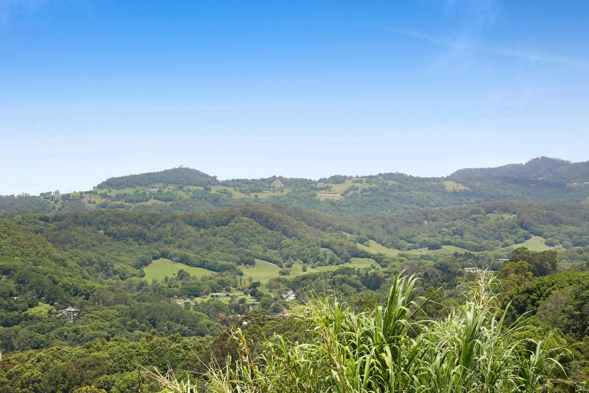 525 Trees Road Tallebudgera 18