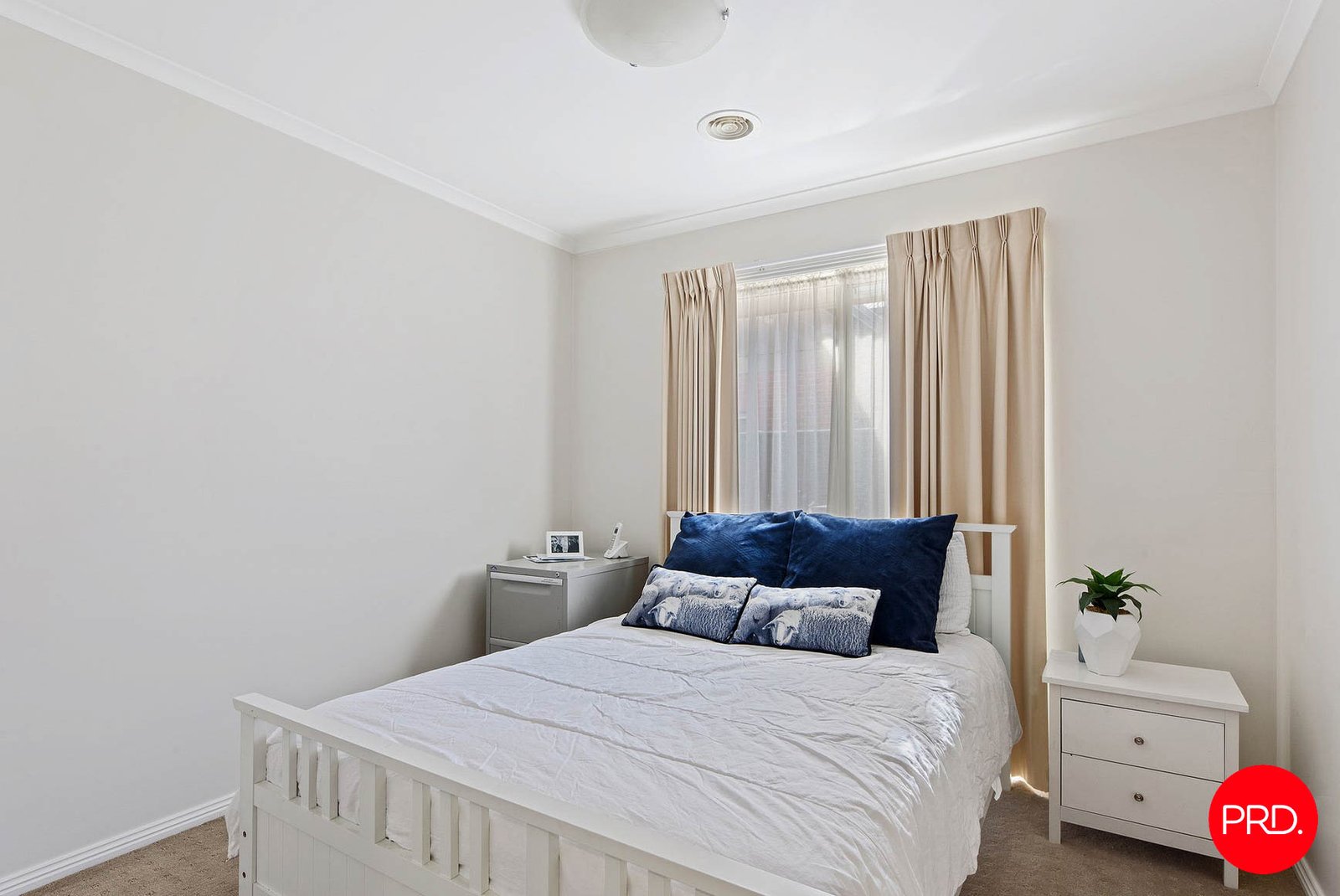 526A Napier St  WHITE HILLS 6
