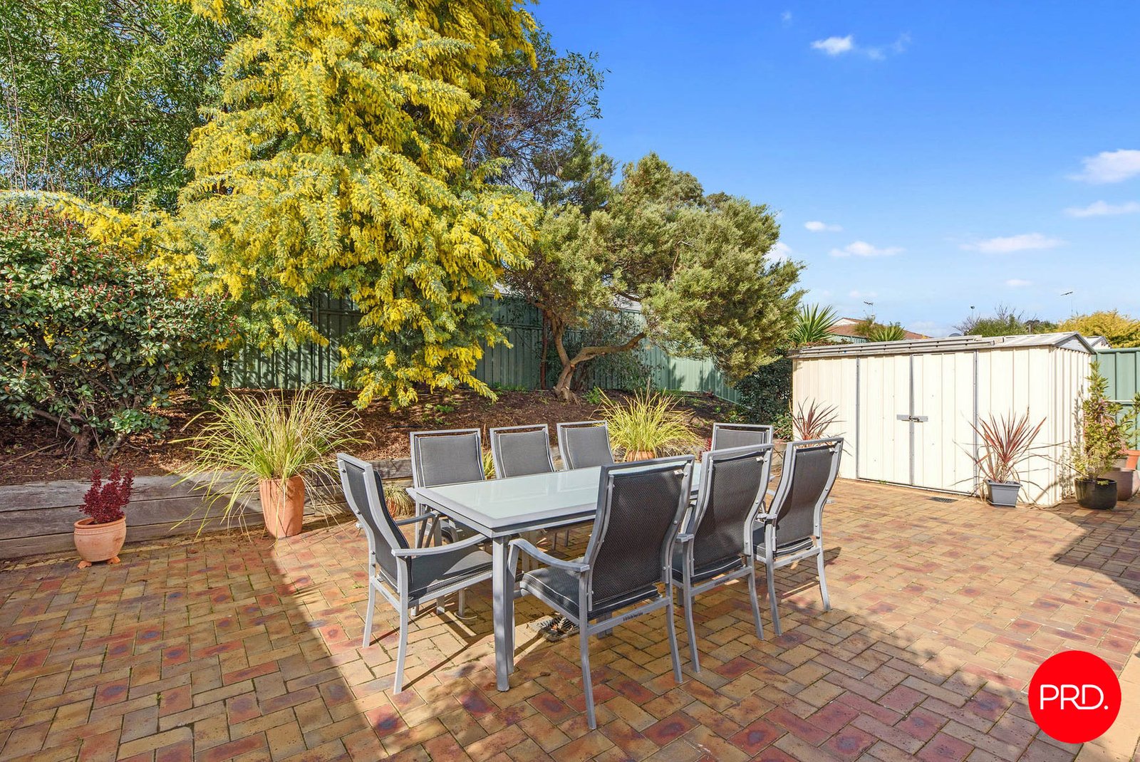 526A Napier St  WHITE HILLS 10