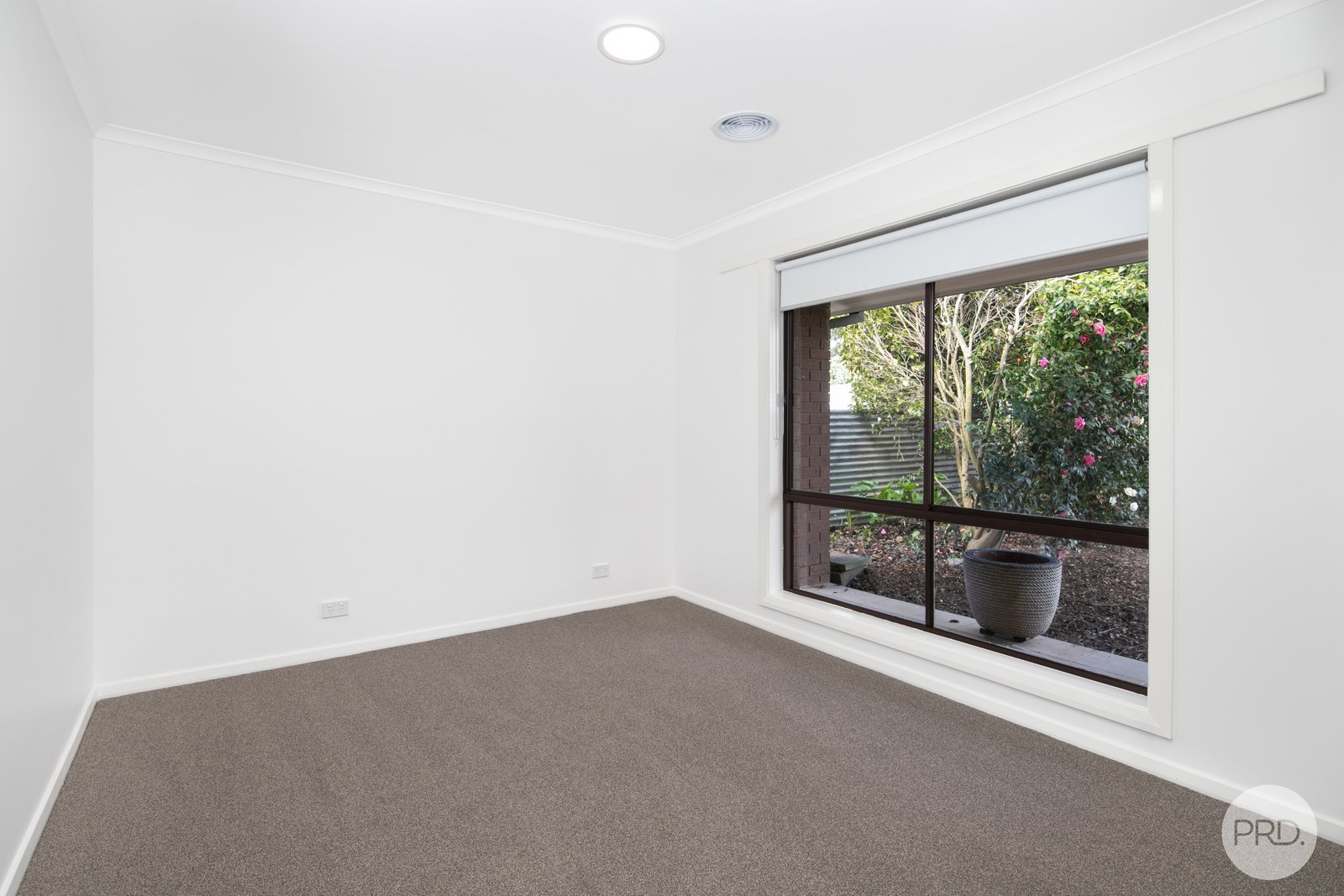 527 Clayton Street CANADIAN 8
