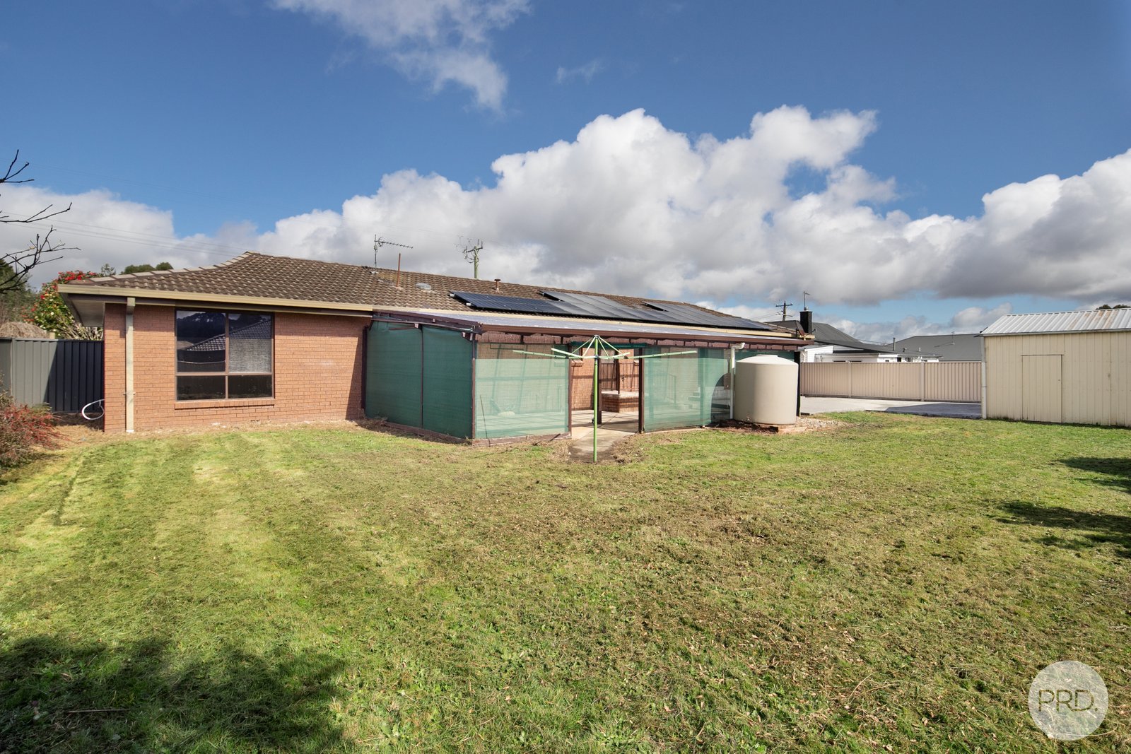527 Clayton Street CANADIAN 14