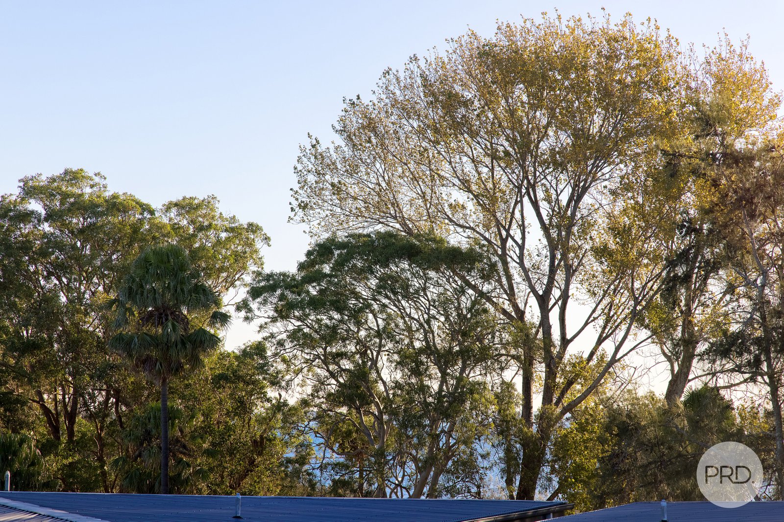 5/28-30 Cromarty Road SOLDIERS POINT 23