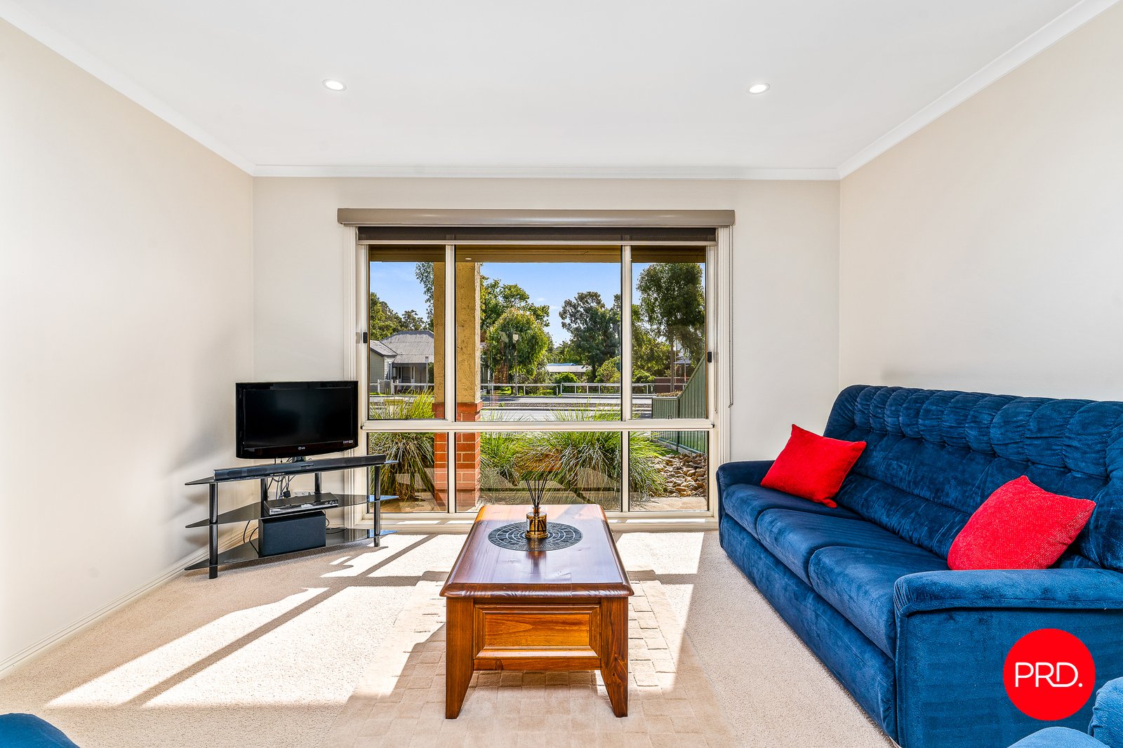 528A Napier Street WHITE HILLS 5