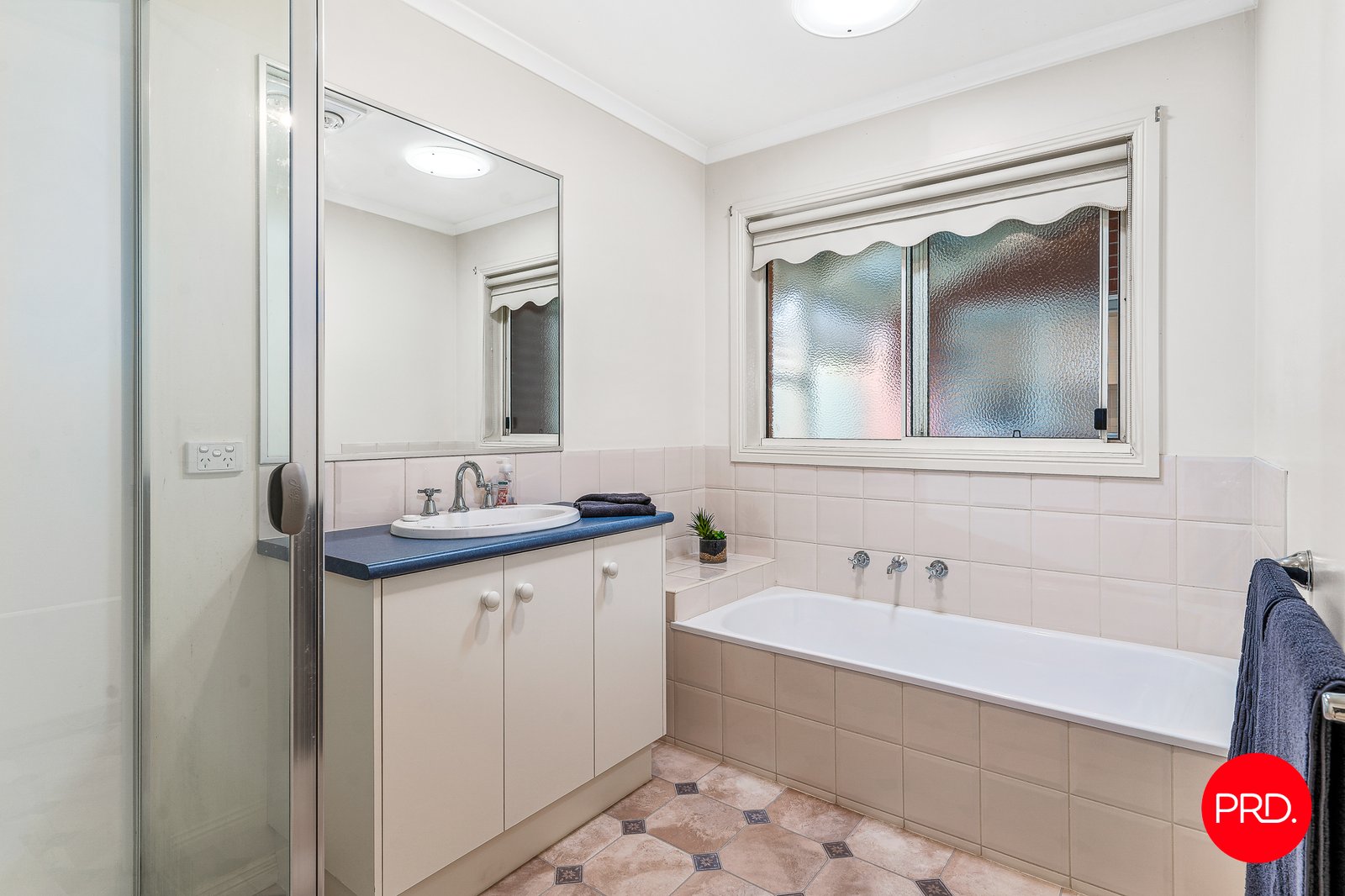528A Napier Street WHITE HILLS 14
