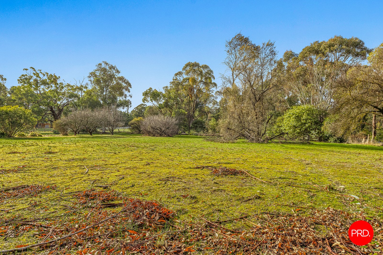 529 MALDON-NEWSTEAD Road WELSHMANS REEF 4