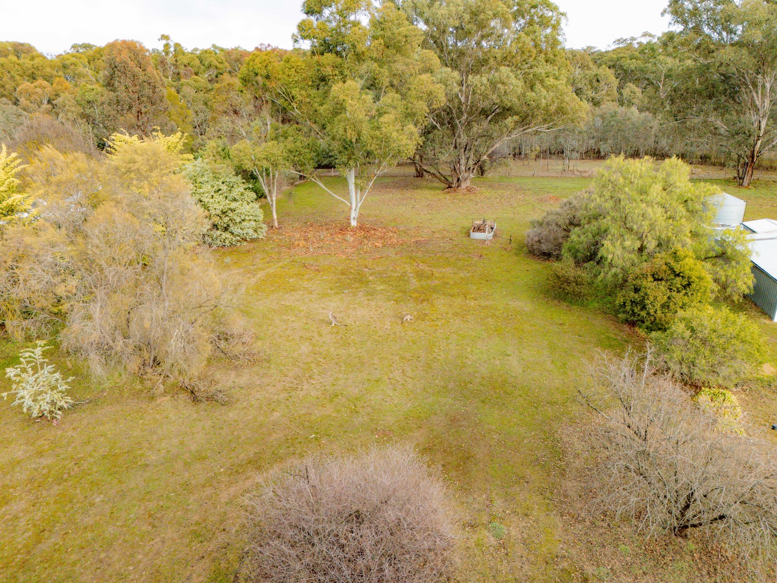 529 MALDON-NEWSTEAD Road WELSHMANS REEF 6