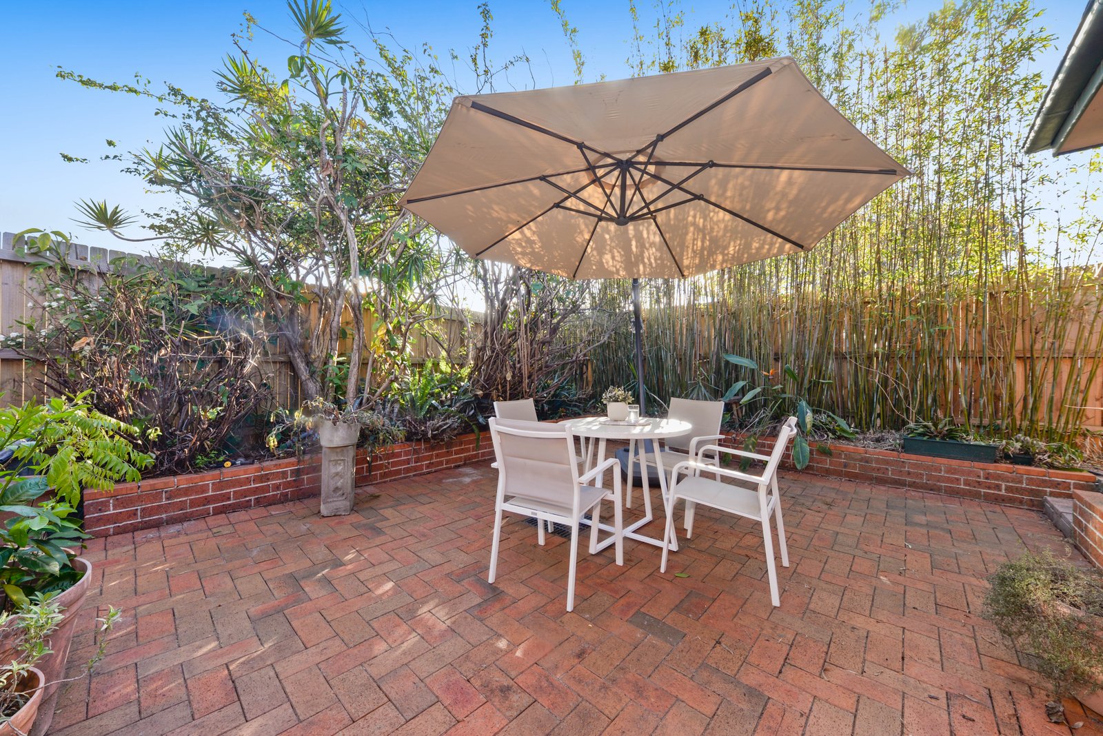 52A Caley Street CHIFLEY 9