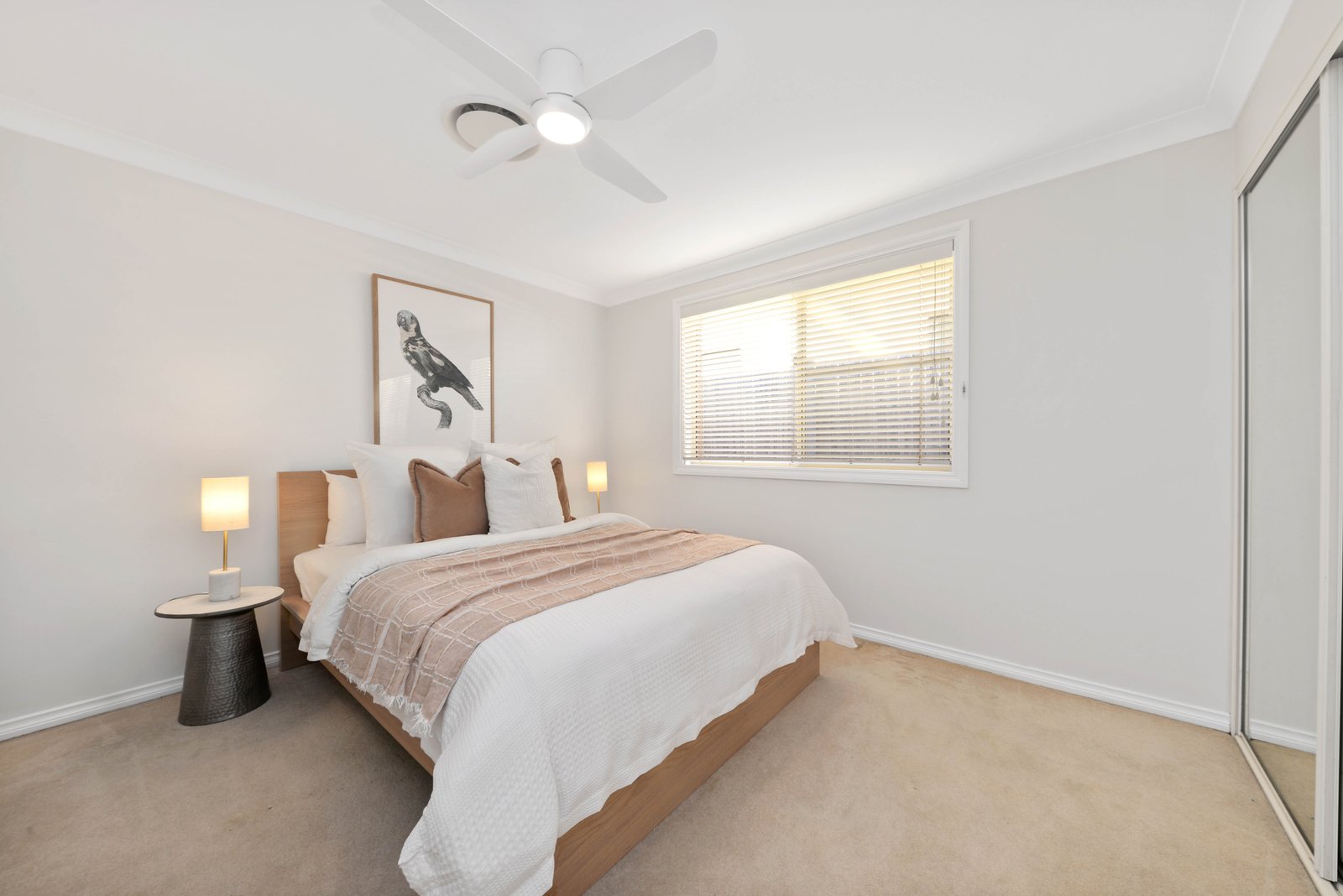 52A Caley Street CHIFLEY 13