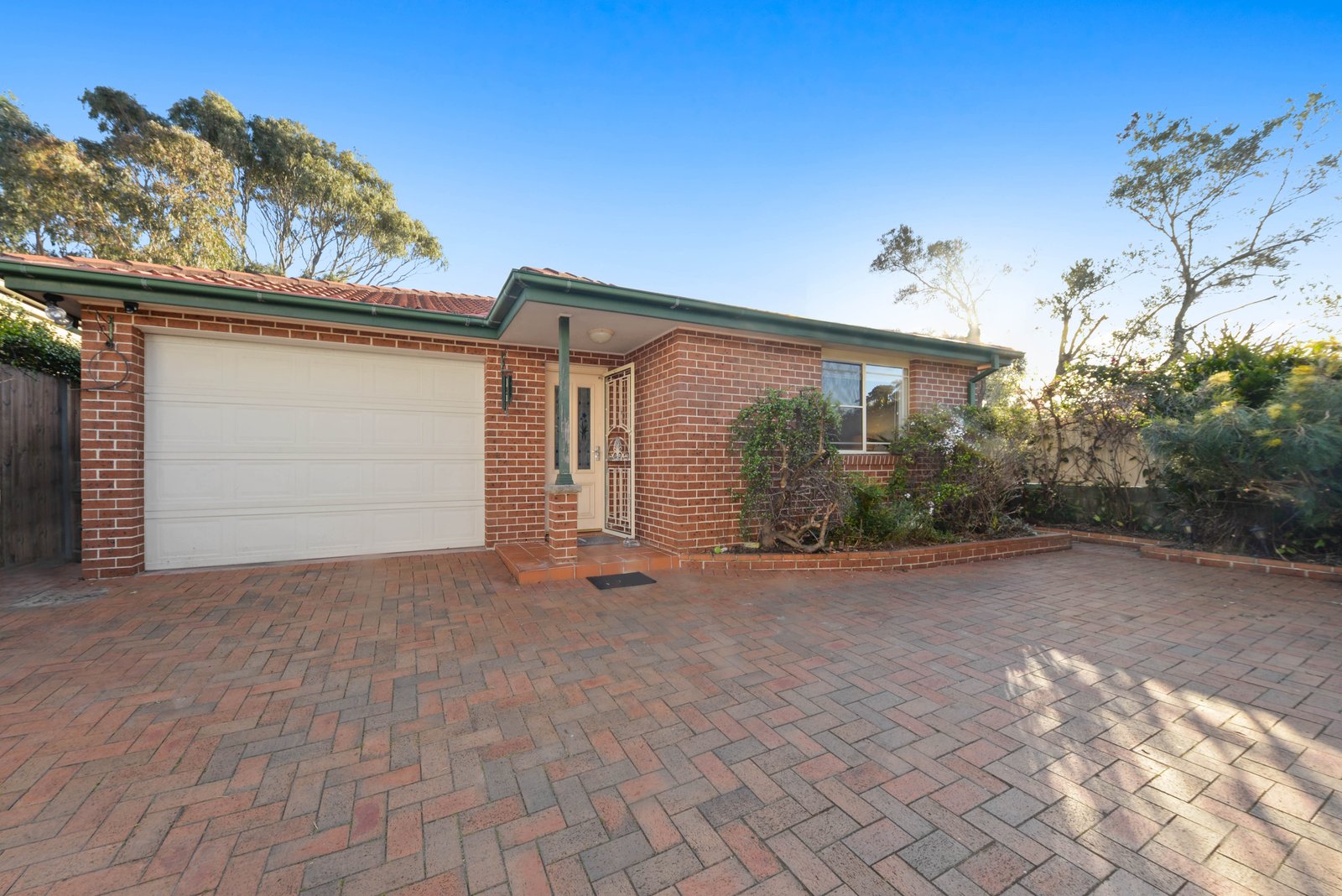 52A Caley Street CHIFLEY 17