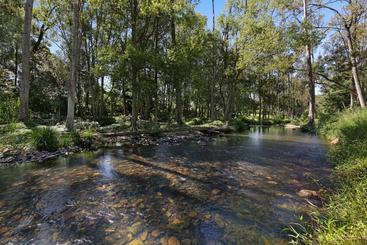 52B Syndicate Road Tallebudgera Valley 3