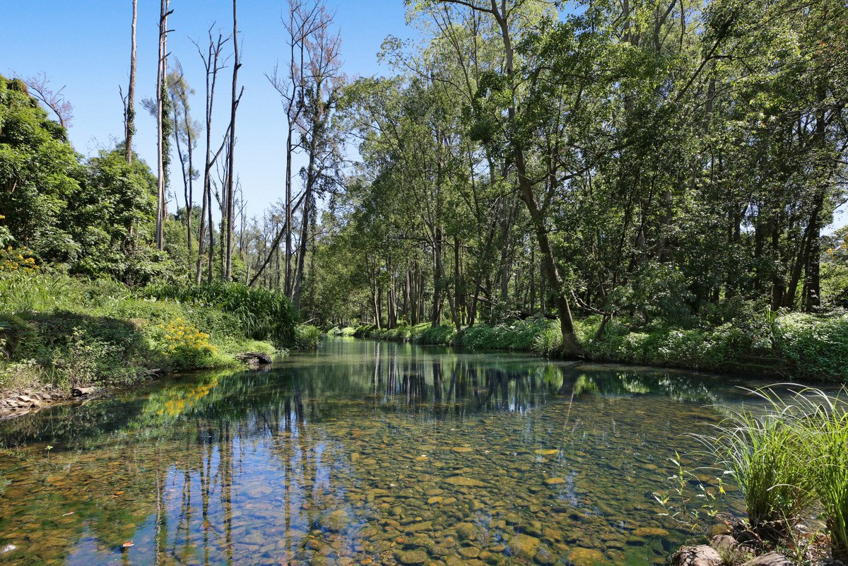 52B Syndicate Road Tallebudgera Valley 5