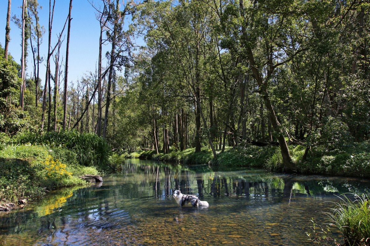 52B Syndicate Road Tallebudgera Valley 11