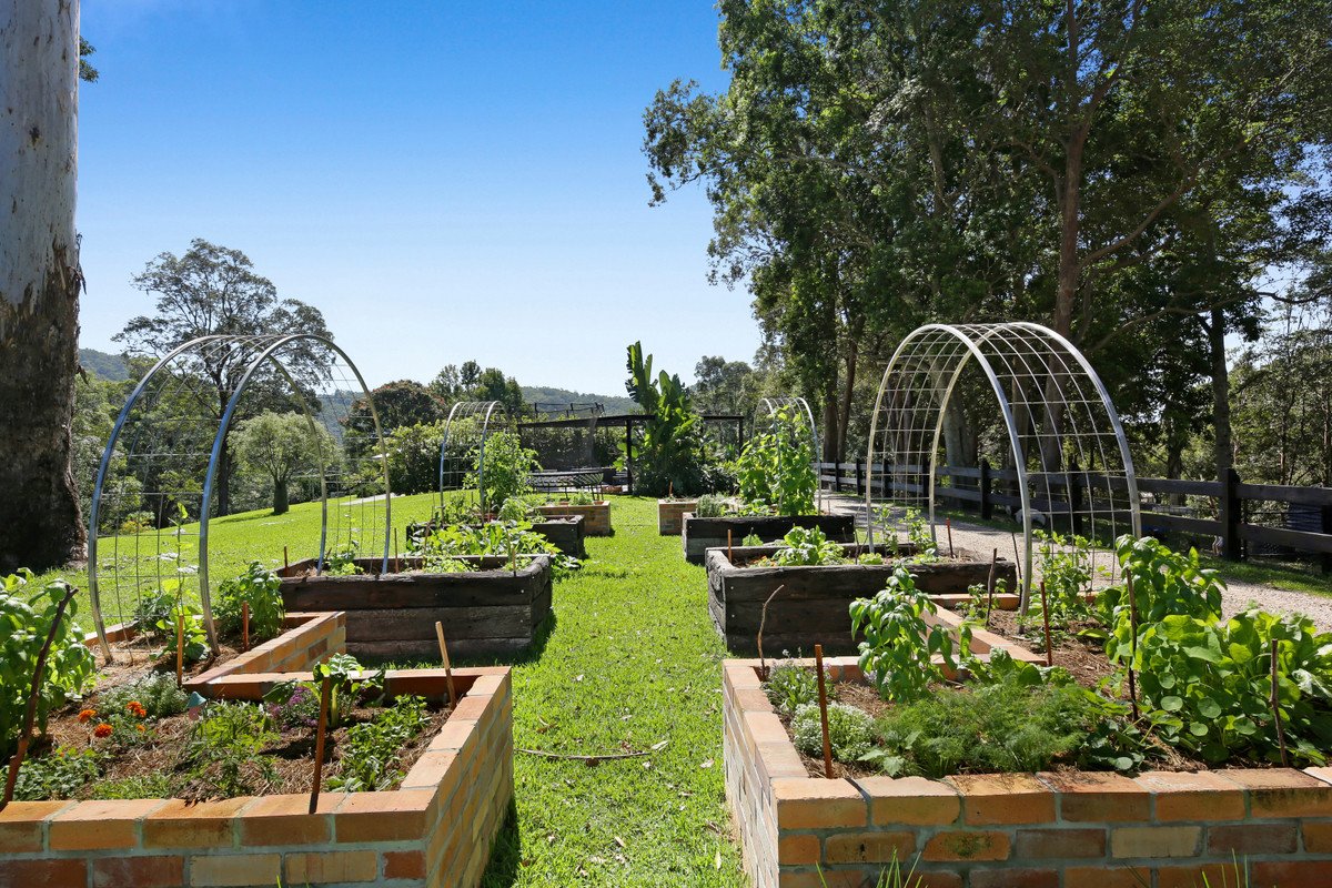 52B Syndicate Road Tallebudgera Valley 22