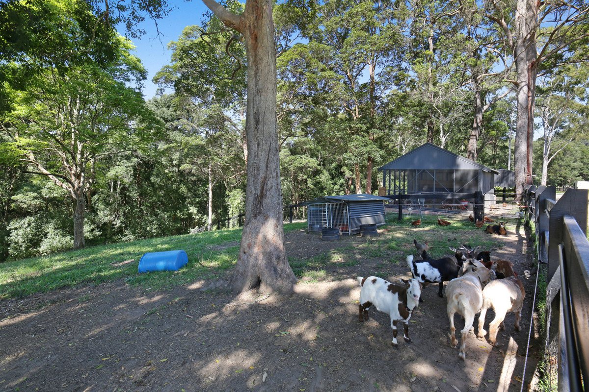 52B Syndicate Road Tallebudgera Valley 29