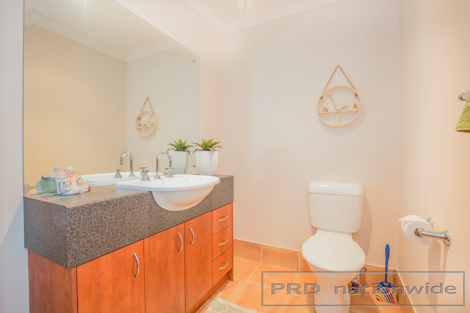 53 Ballydoyle Drive ASHTONFIELD 14