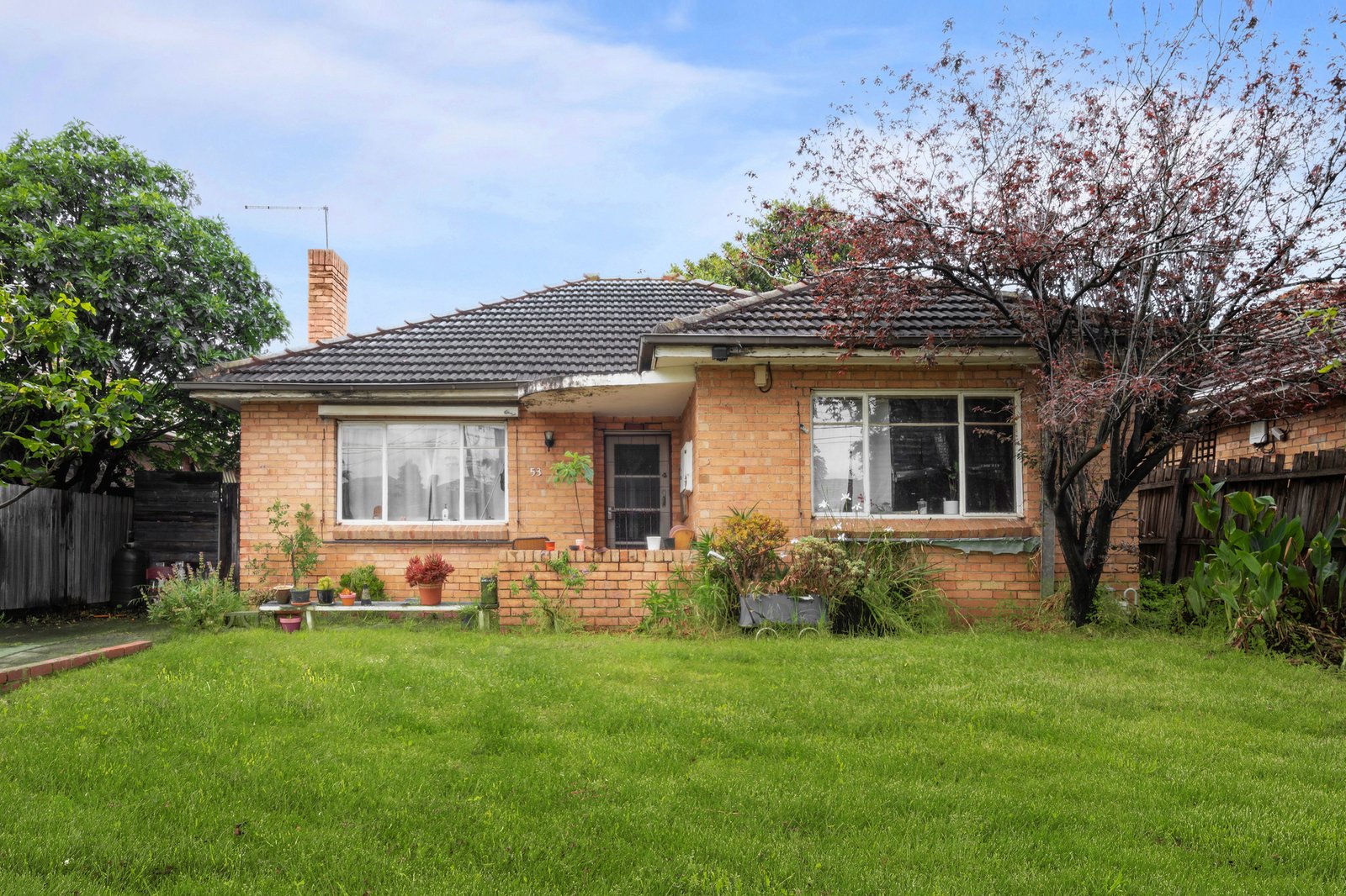 Real Estate and Property in 53 Bird Avenue, Northcote, VIC
