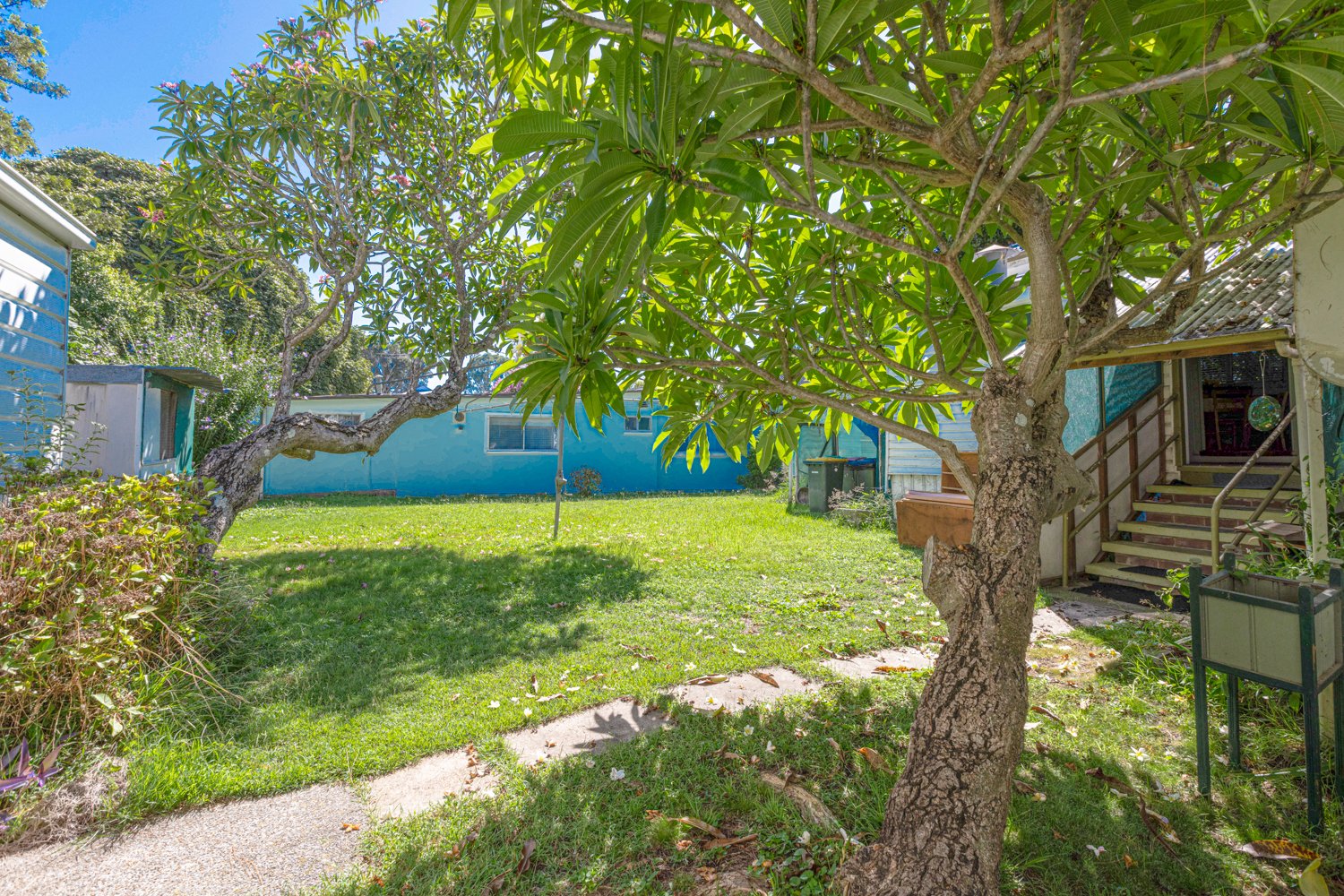 53 Carrington Street HORSESHOE BEND 16