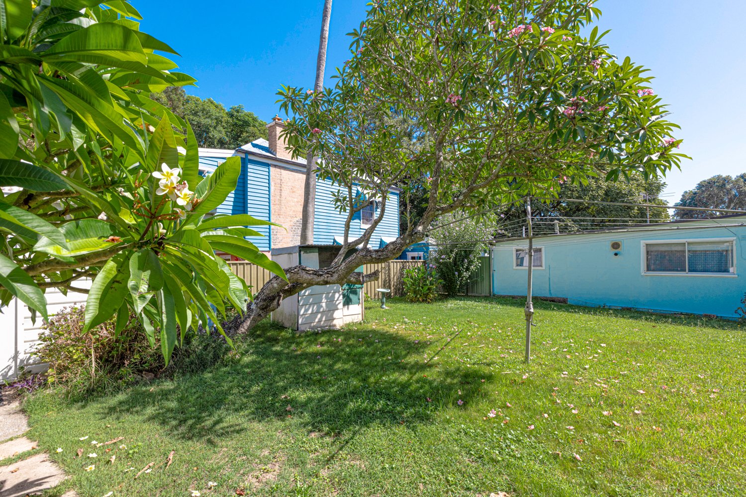 53 Carrington Street HORSESHOE BEND 19