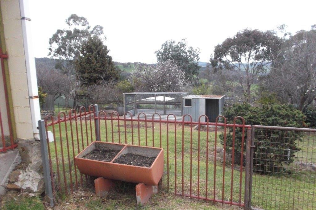53 Dalhunty Street TUMUT 10