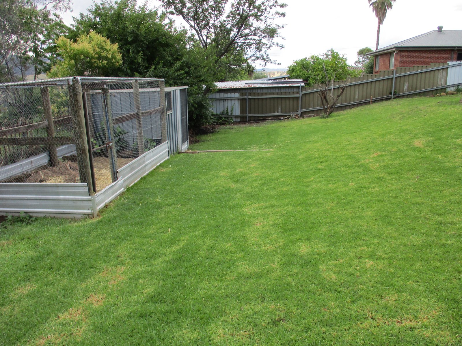 53 Dalhunty Street TUMUT 10