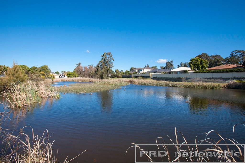 53 Edwards Ave  THORNTON 15