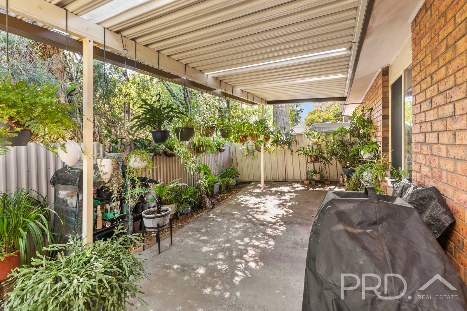 53 Forest Street TUMUT 12