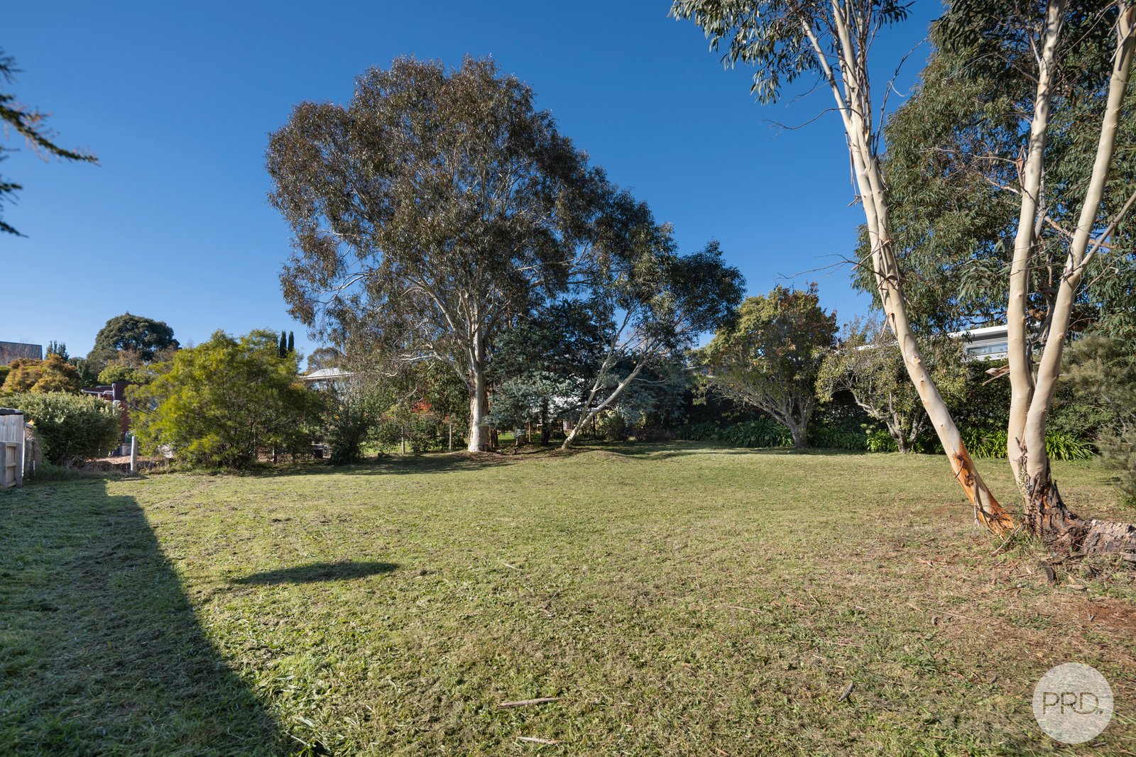 53 Jamieson Street DAYLESFORD 3