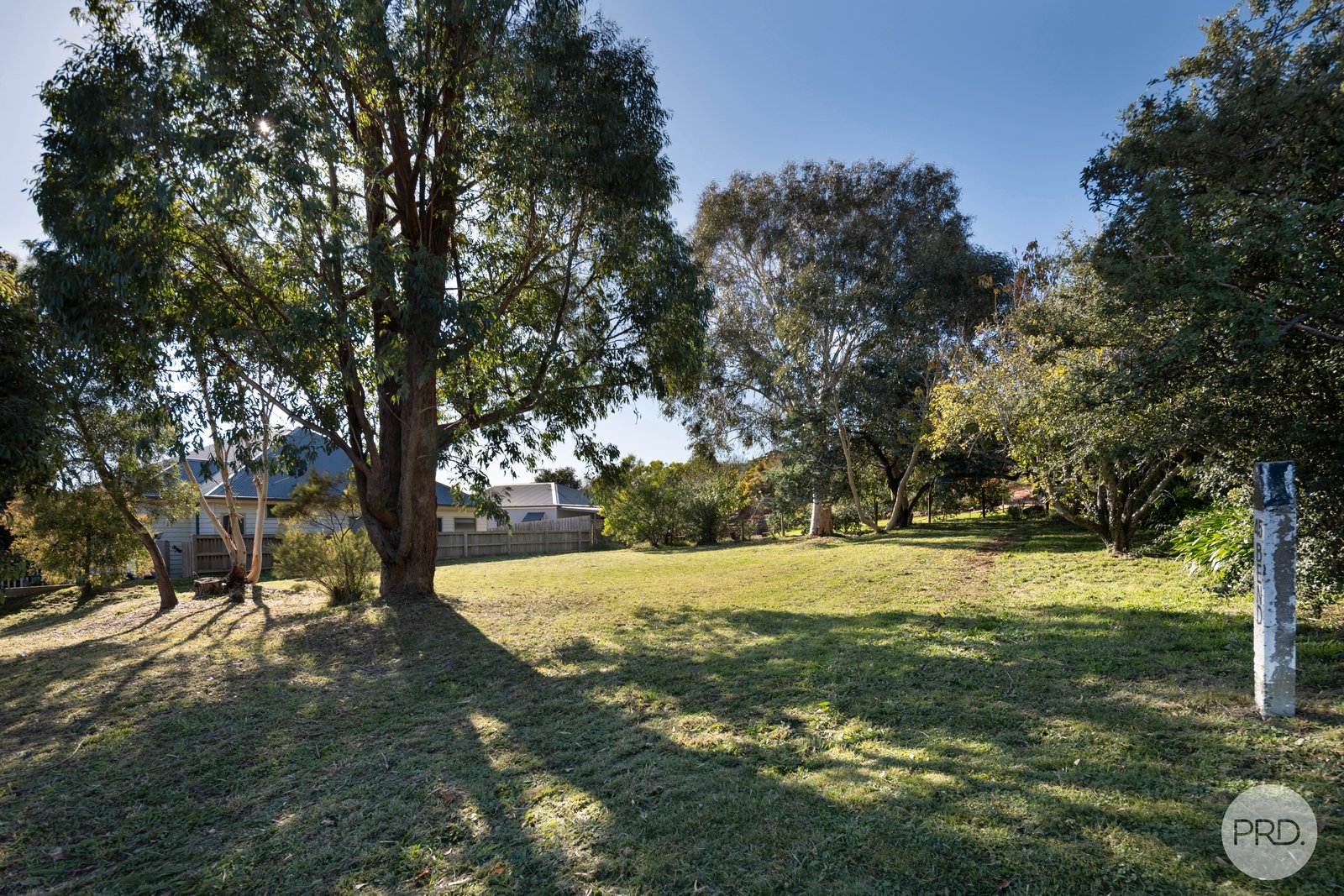 53 Jamieson Street DAYLESFORD 8